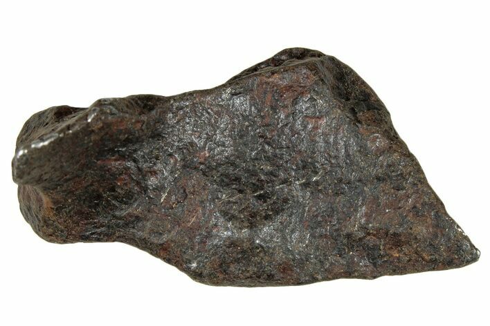 Canyon Diablo Iron Meteorite ( g) - Arizona #303498